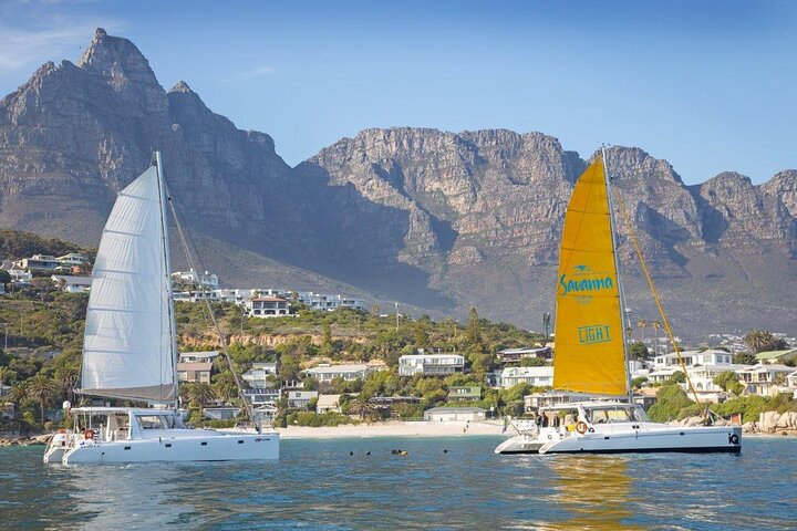 Catamaran Cruise in Cape Town - Photo 1 of 19